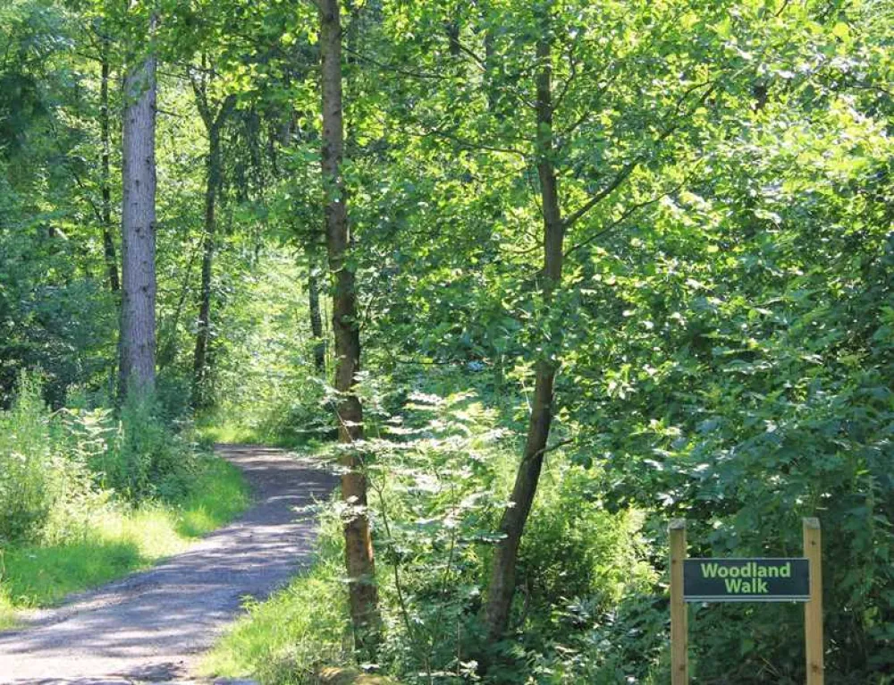 Old Hall Caravan Park