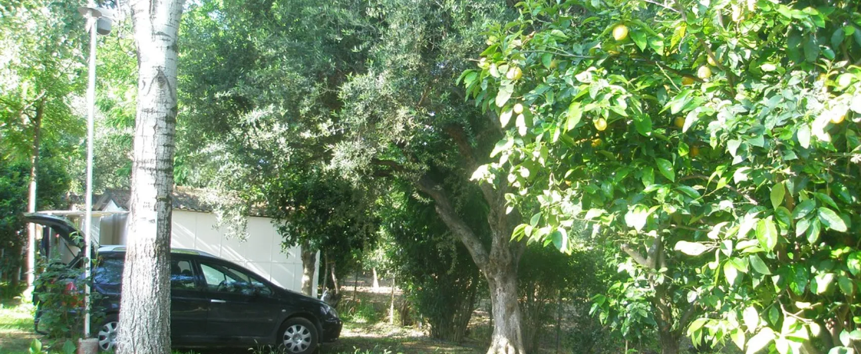 Campsite Kato Alissos