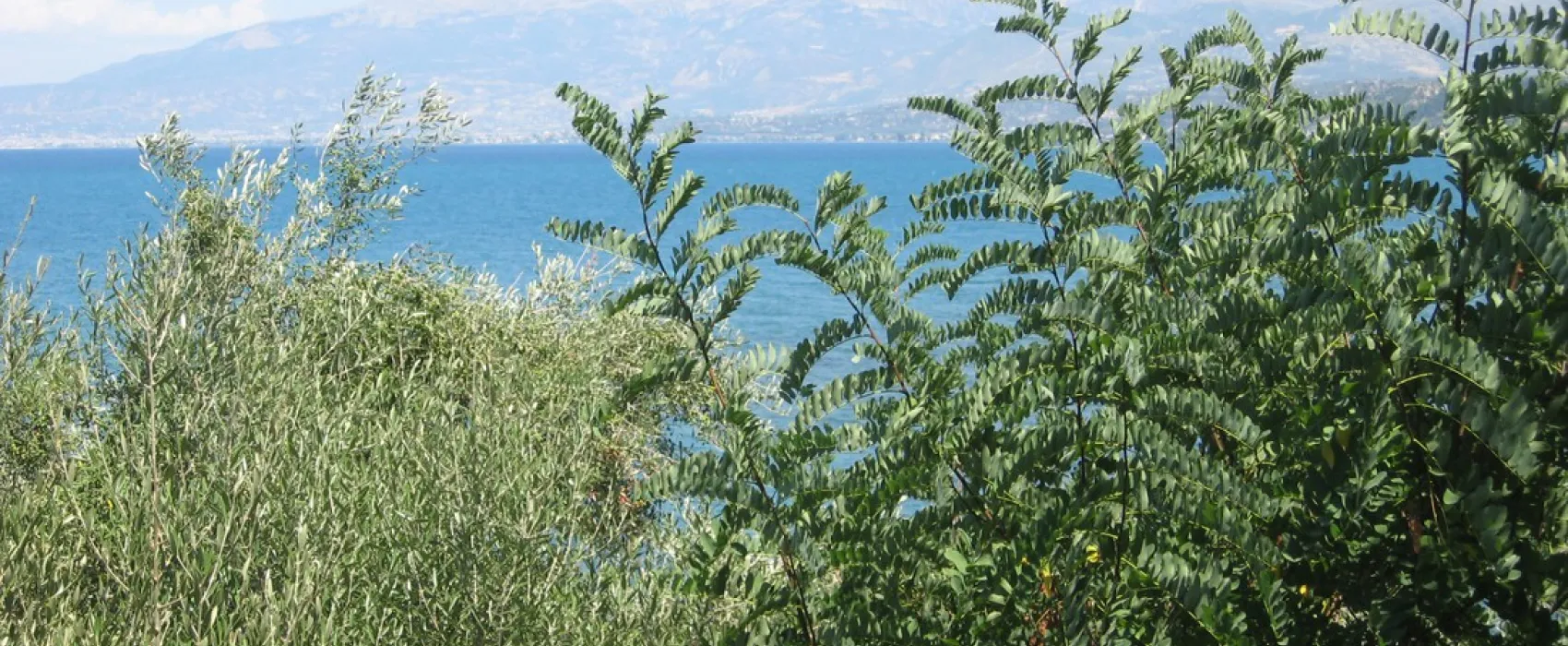 Campsite Kato Alissos