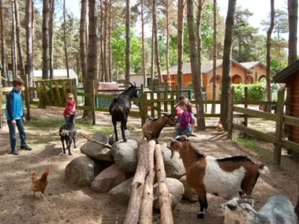Campingplatz Banzelvitzer Berge