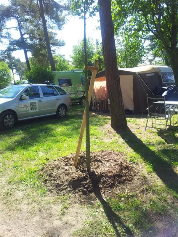 Campingplatz Banzelvitzer Berge