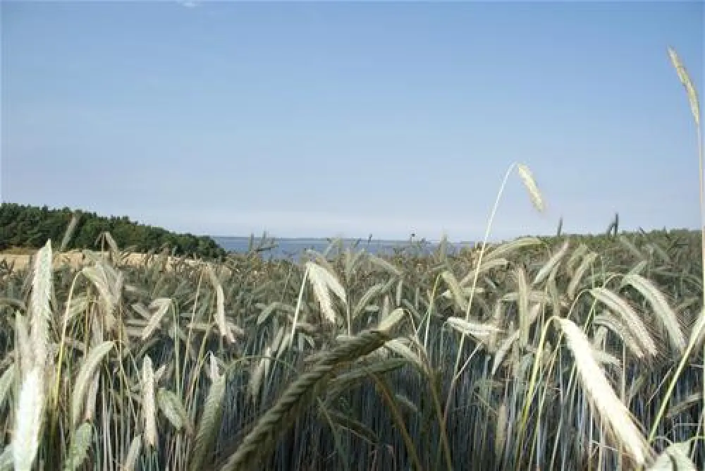 Campingplatz Banzelvitzer Berge
