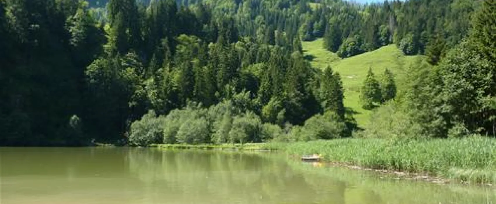 Camping Seeweid Schwarzsee