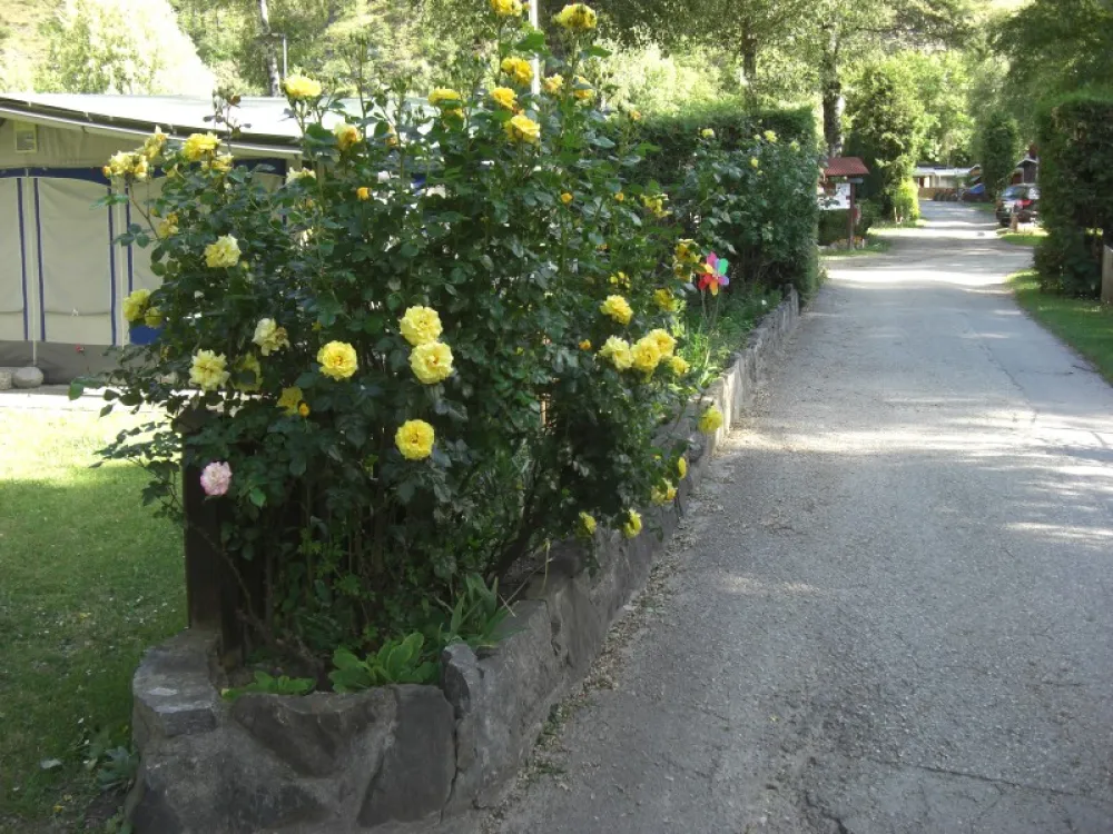 Camping Simplonblick