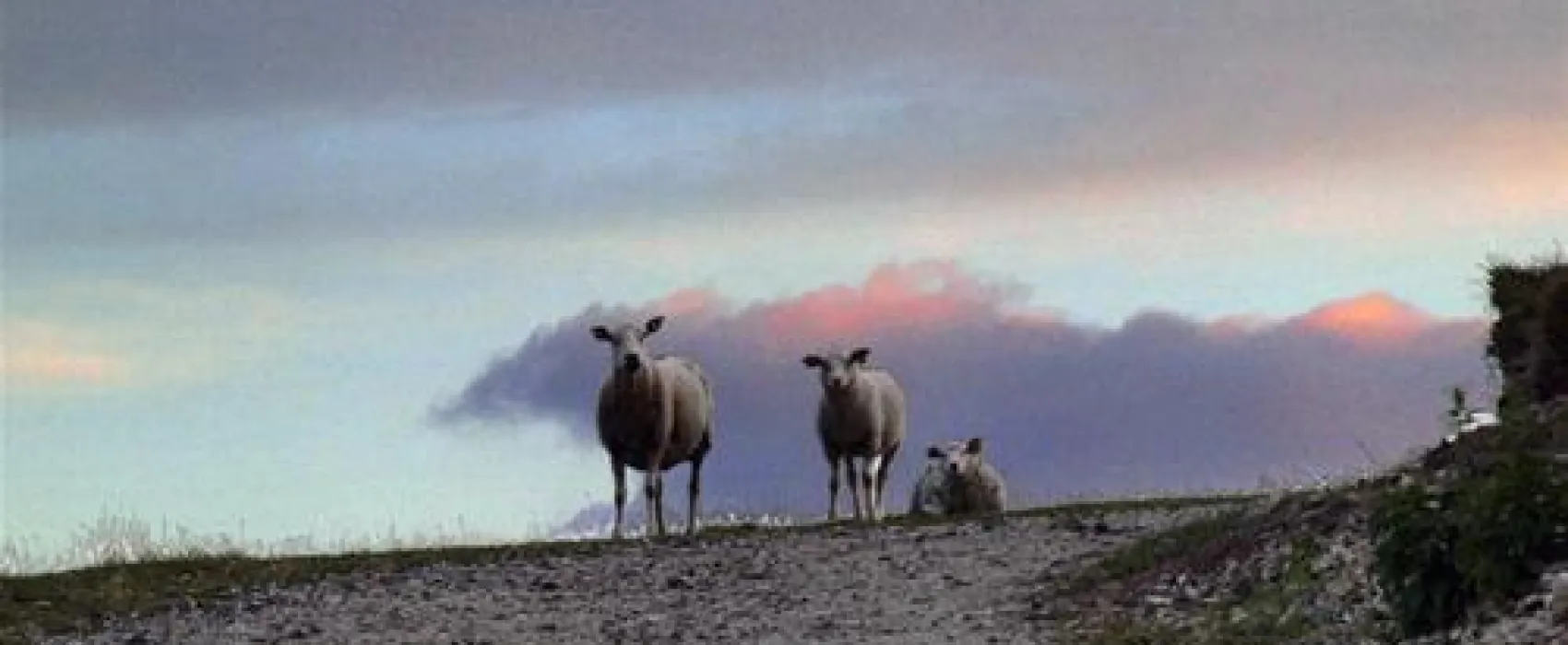 Bramslev Bakker Camping