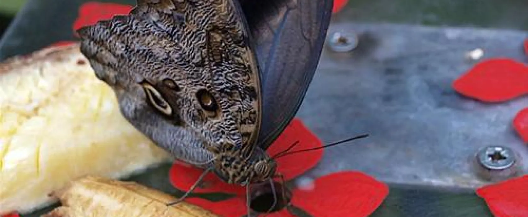 Bramslev Bakker Camping