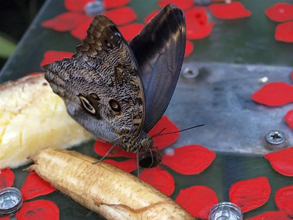 Bramslev Bakker Camping