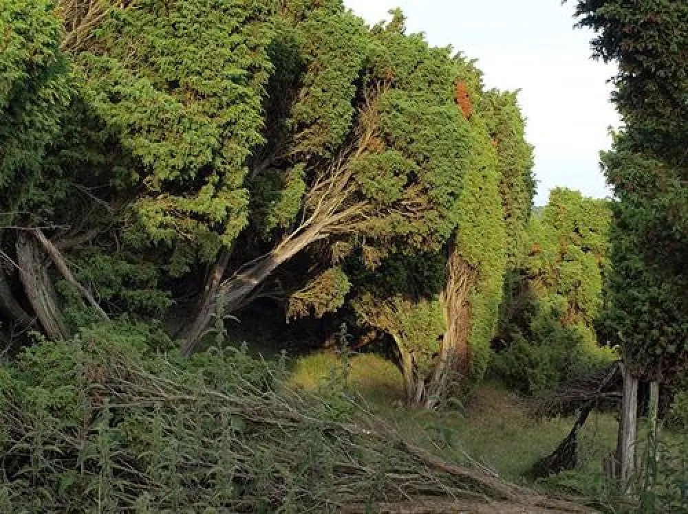 Bramslev Bakker Camping