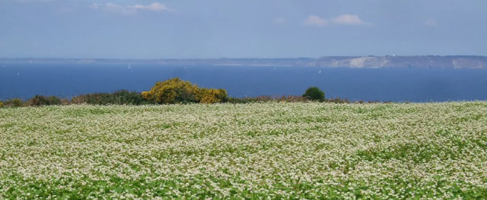 Camping Les Vergers De Squividan