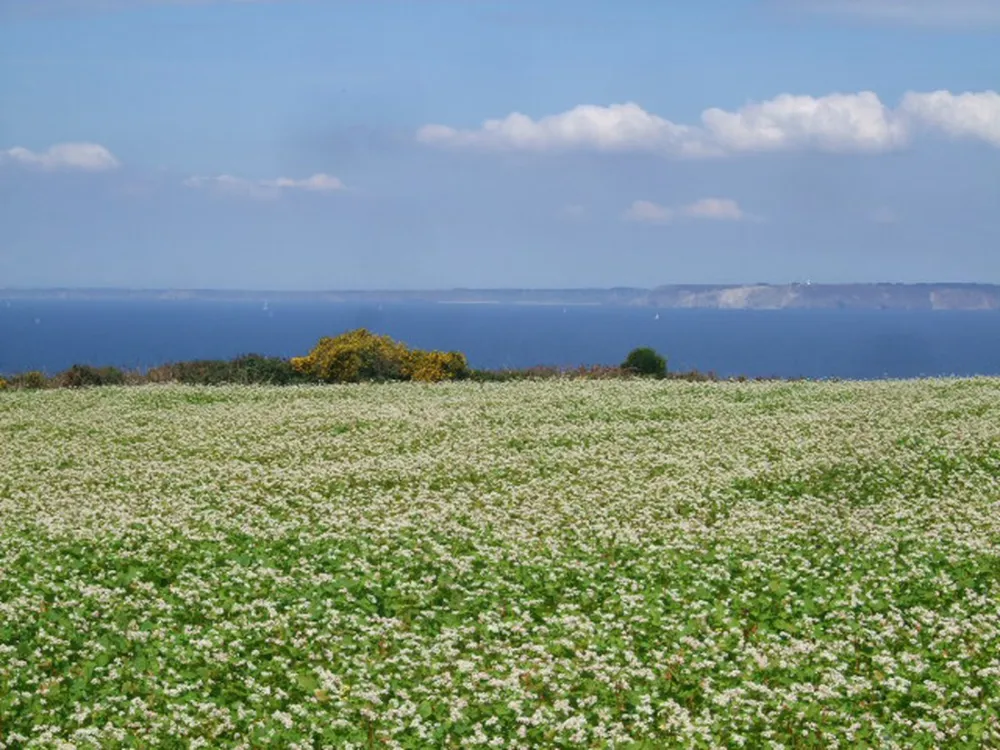 Camping Les Vergers De Squividan