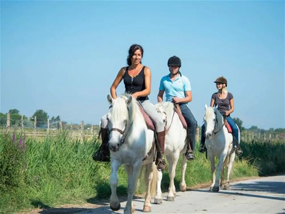 Camping Fleur de Camargue  