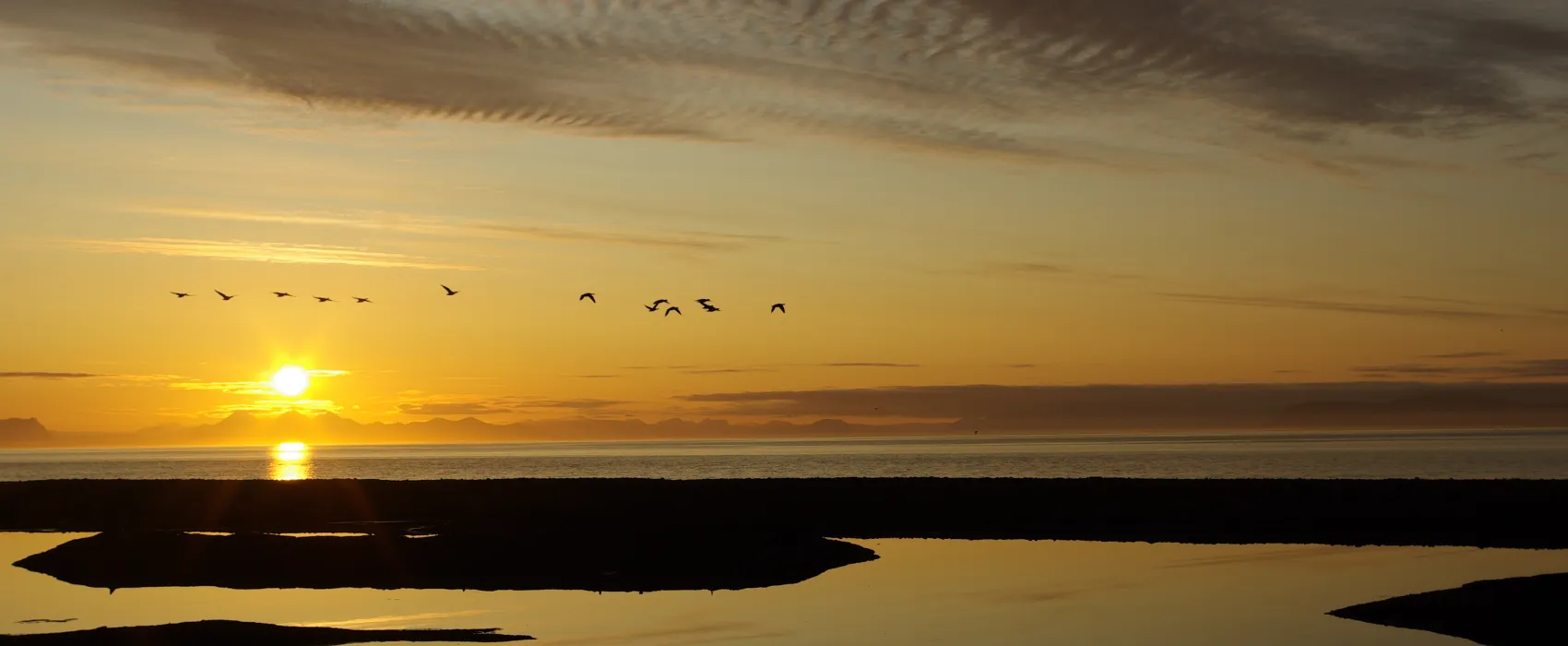 Longyearbyen Camping