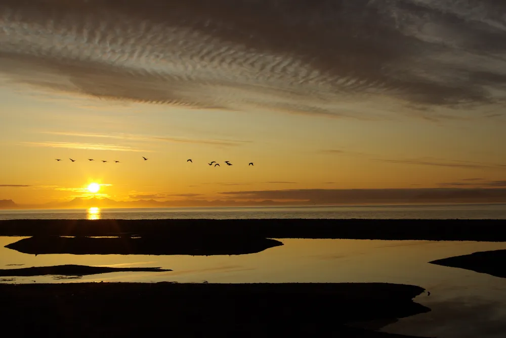 Longyearbyen Camping