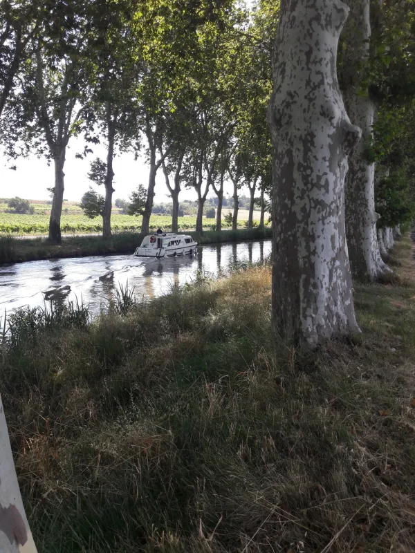 Camping Les Berges du Canal  