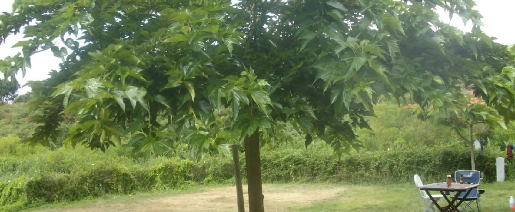 Camping Les Amis De La Nature