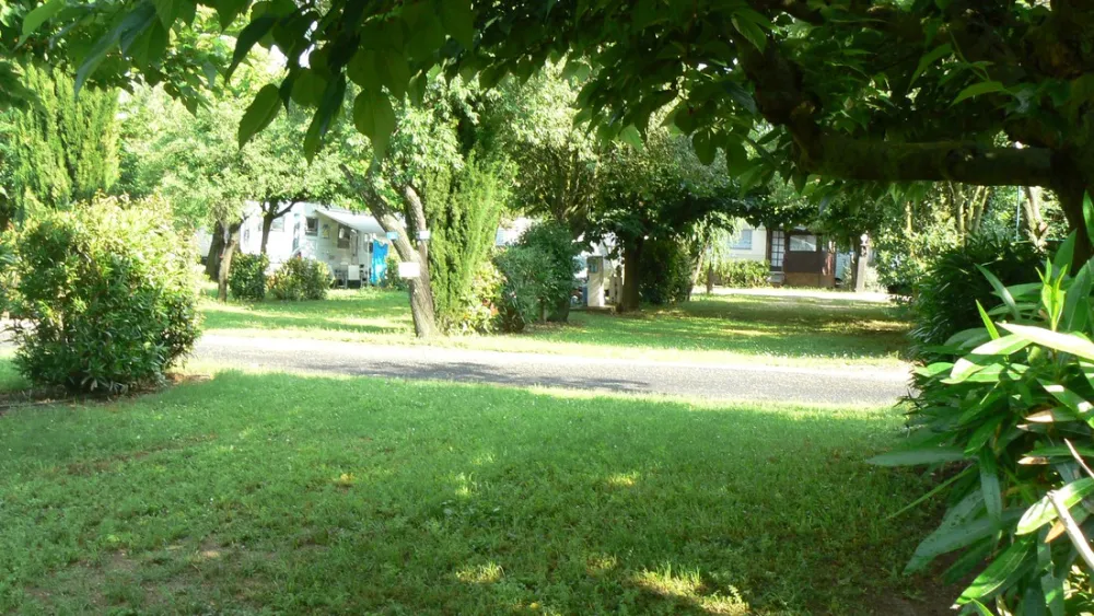 Camping Bellevue En Camargue