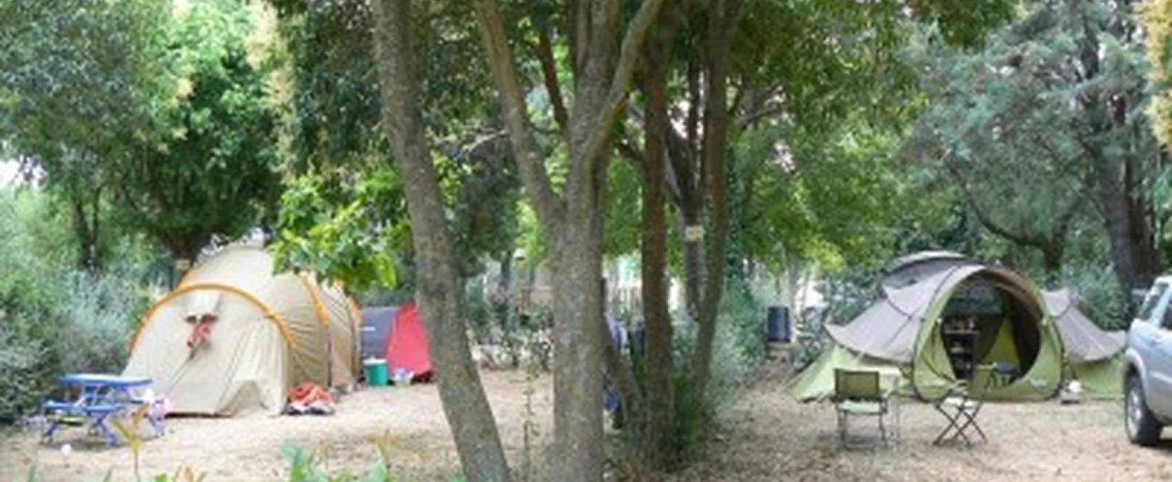 Camping Bellevue En Camargue