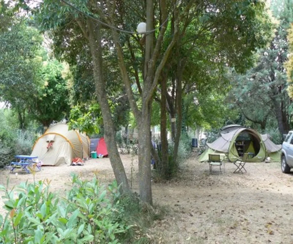 Camping Bellevue En Camargue