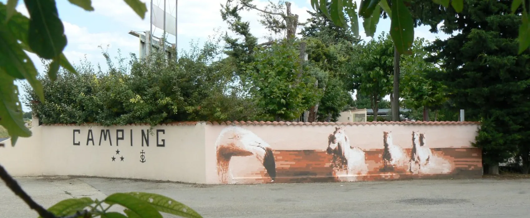 Camping Bellevue En Camargue