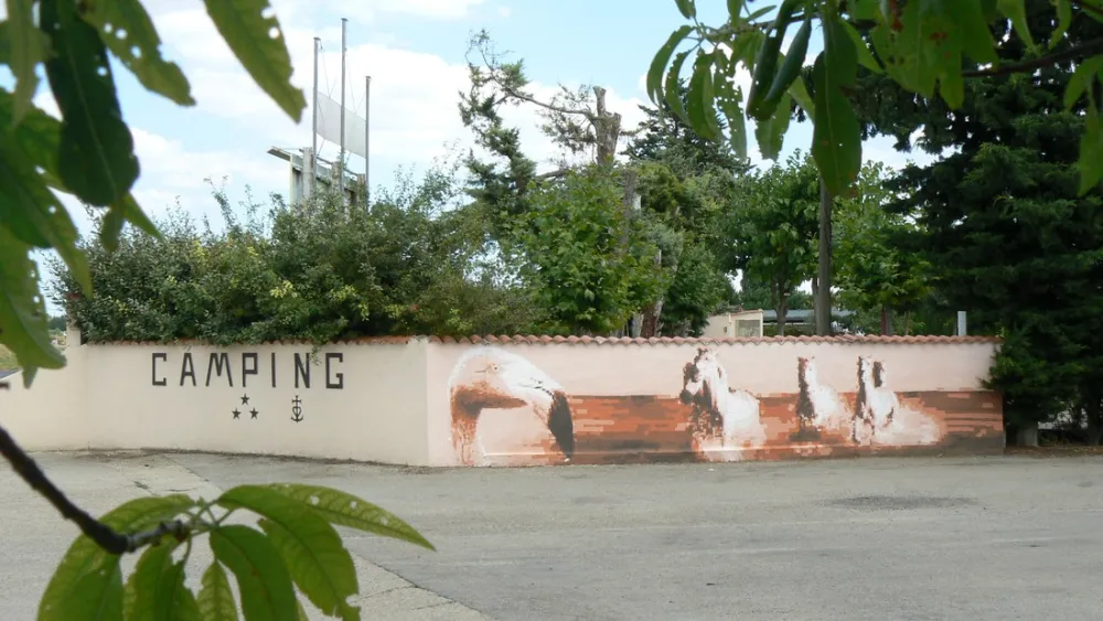 Camping Bellevue En Camargue