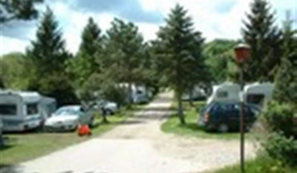 Skovly Camping