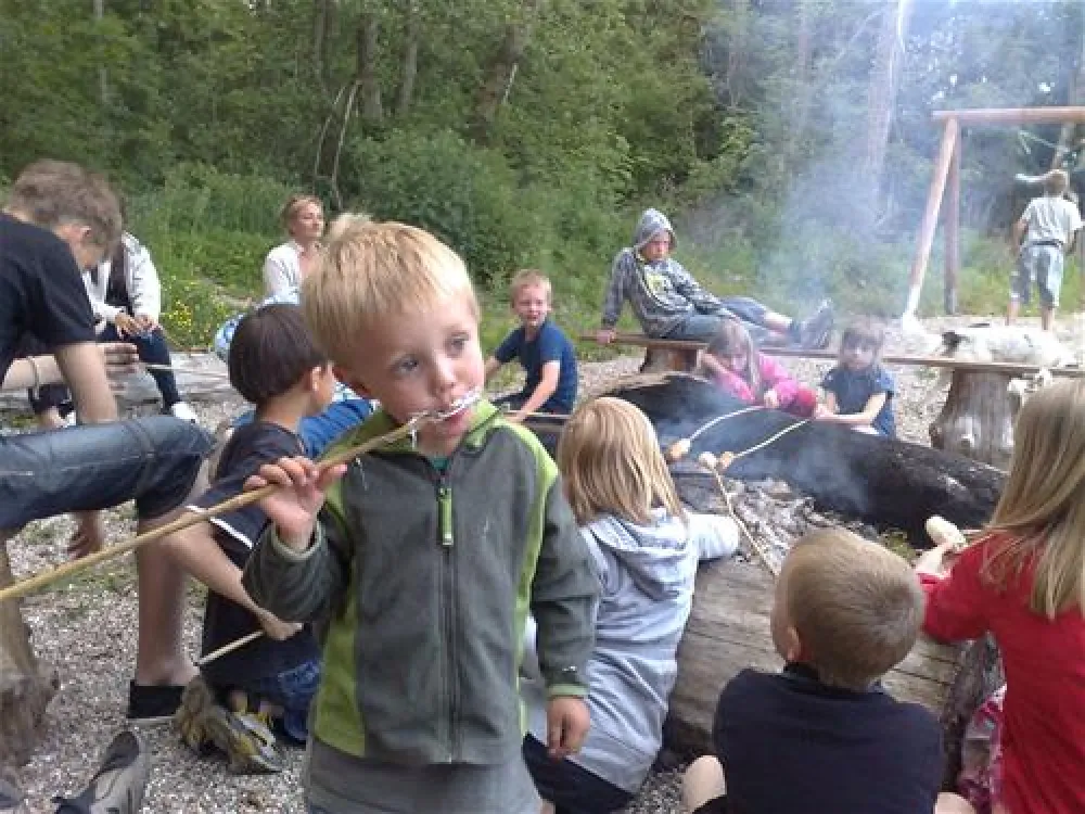 Skovly Camping