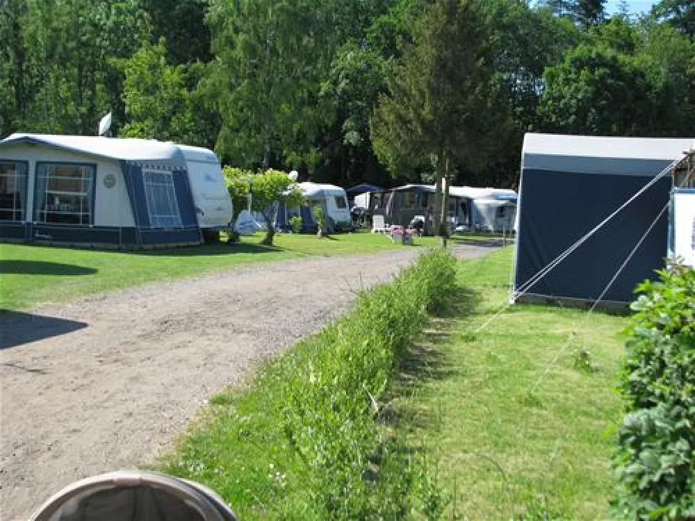 Skovly Camping