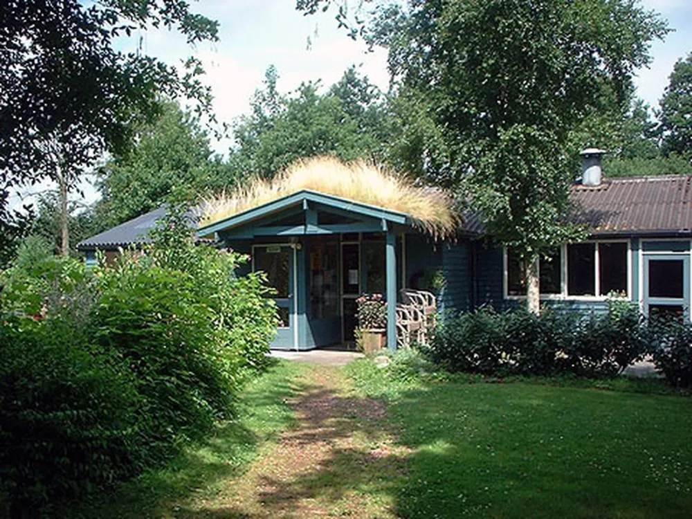 Camping Dorado Beach