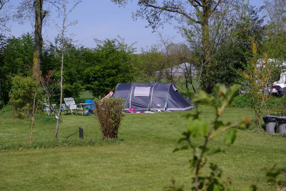 Camping Dorado Beach