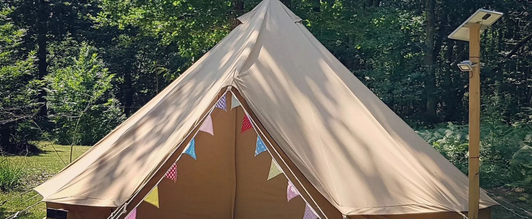 Bois de Saint Hilaire  