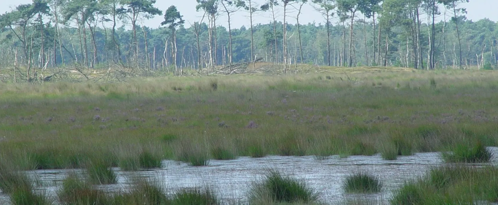 40+ Camping/Chaletpark De Staartse Duinen