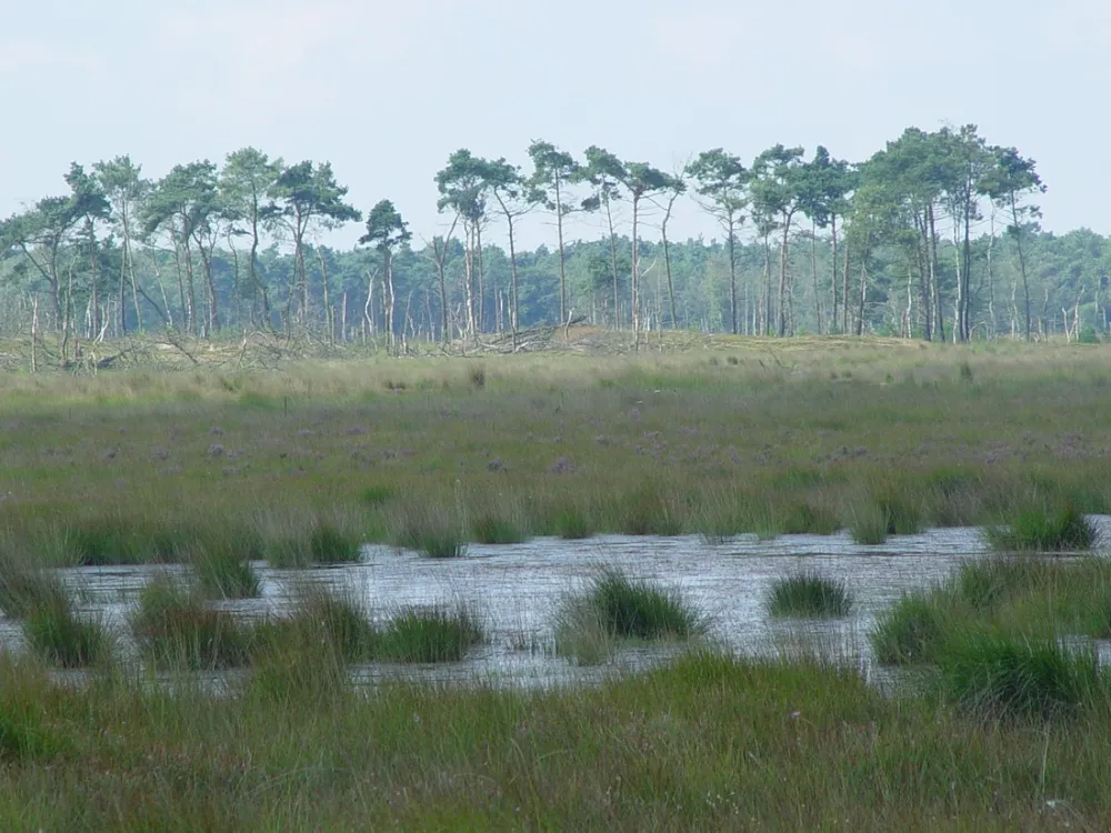 40+ Camping/Chaletpark De Staartse Duinen