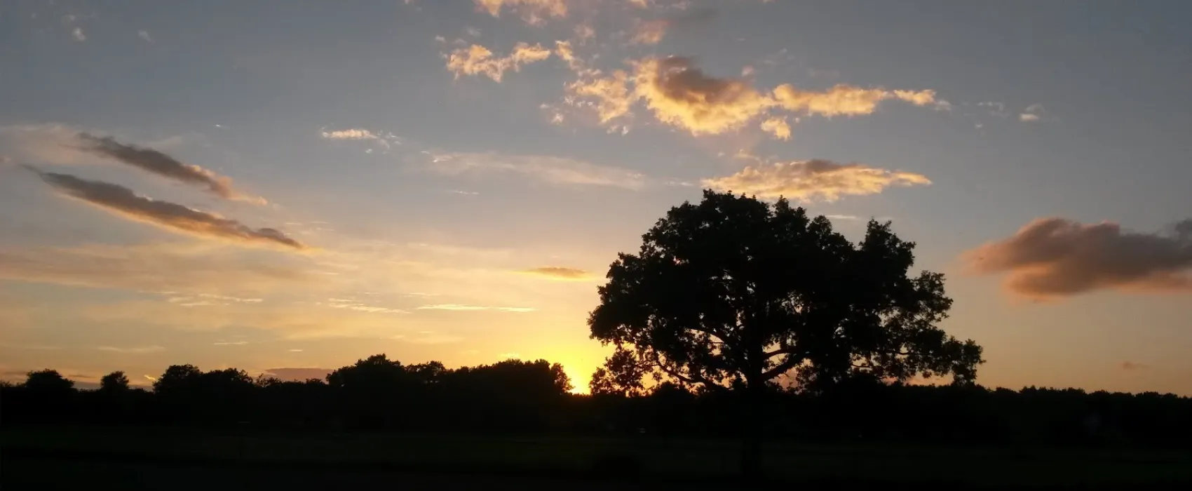 40+ Camping/Chaletpark De Staartse Duinen