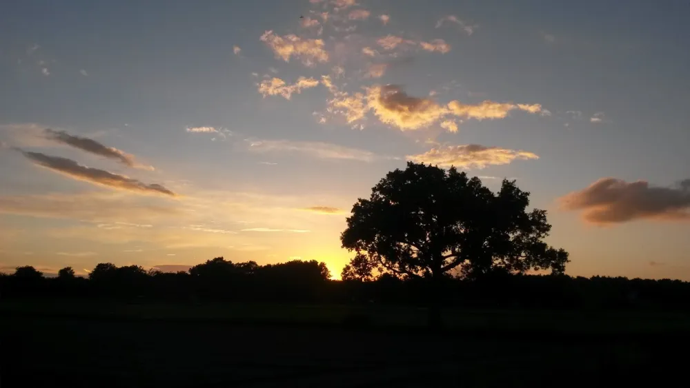 40+ Camping/Chaletpark De Staartse Duinen