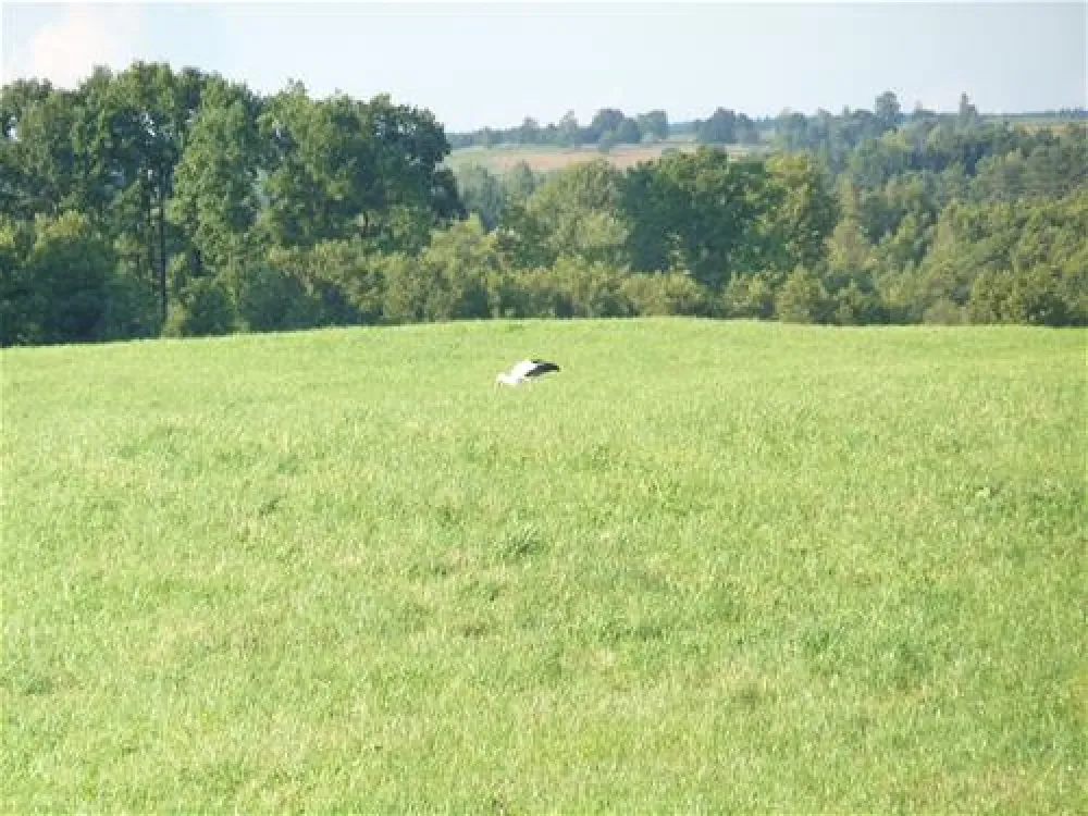 Agrocamp Stara Pawlowka