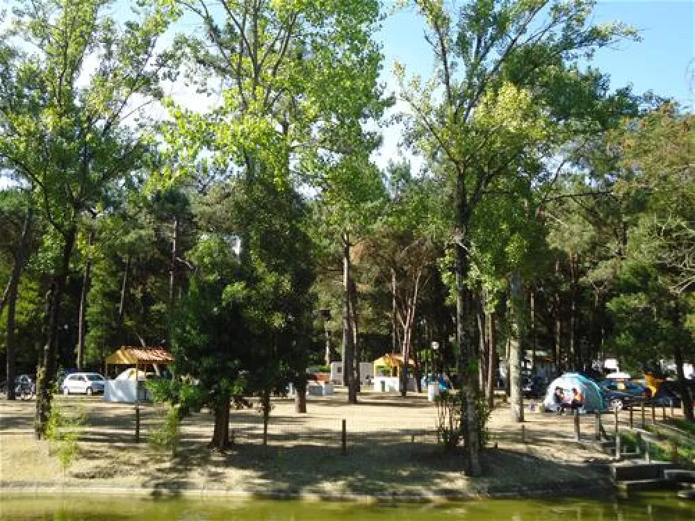 Parque de Campismo de Vila Caia