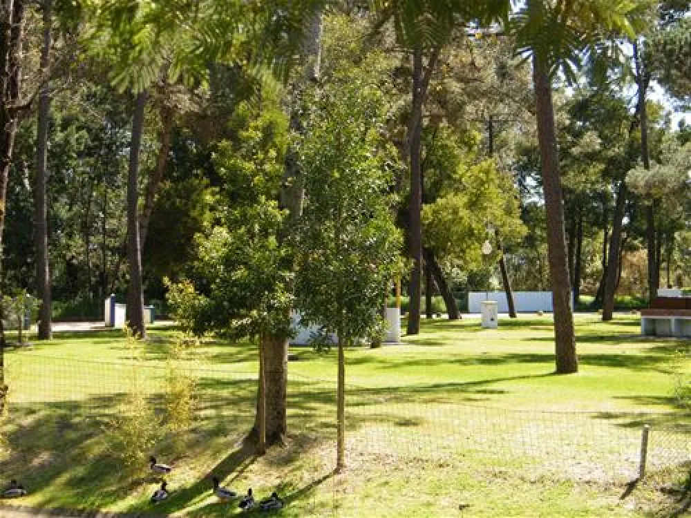 Parque de Campismo de Vila Caia