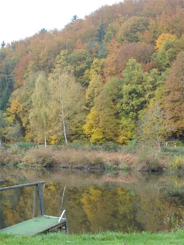 Internationaler Campingplatz Naabtal-Pielenhofen