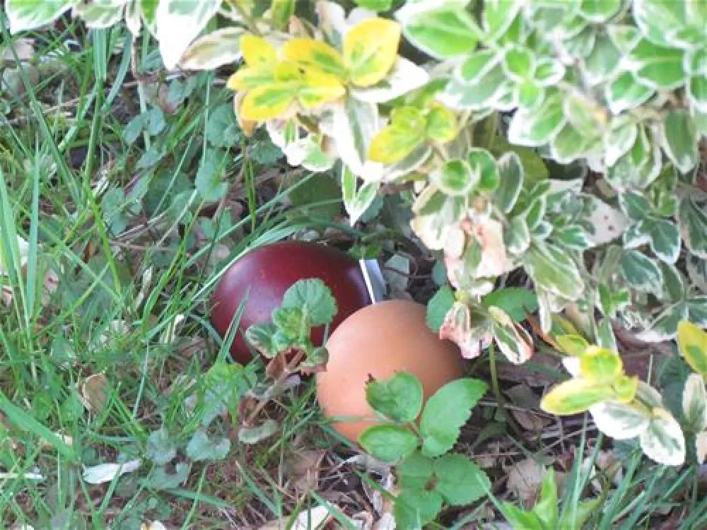 Camping Altfunnixsiel