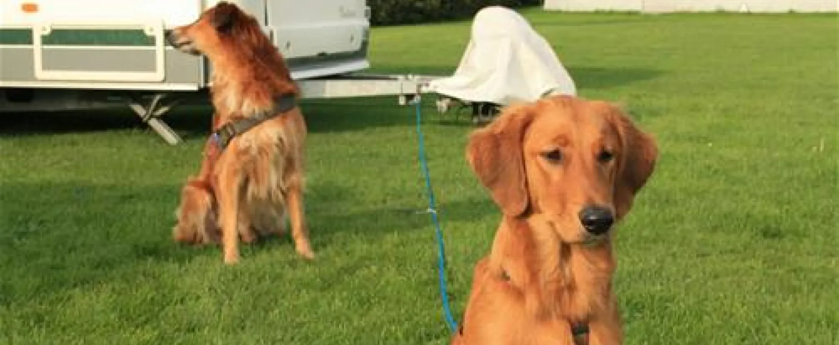 Broager Strand Camping ApS