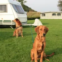 Broager Strand Camping ApS in Dnemark - Spottocamp - Spottocamp