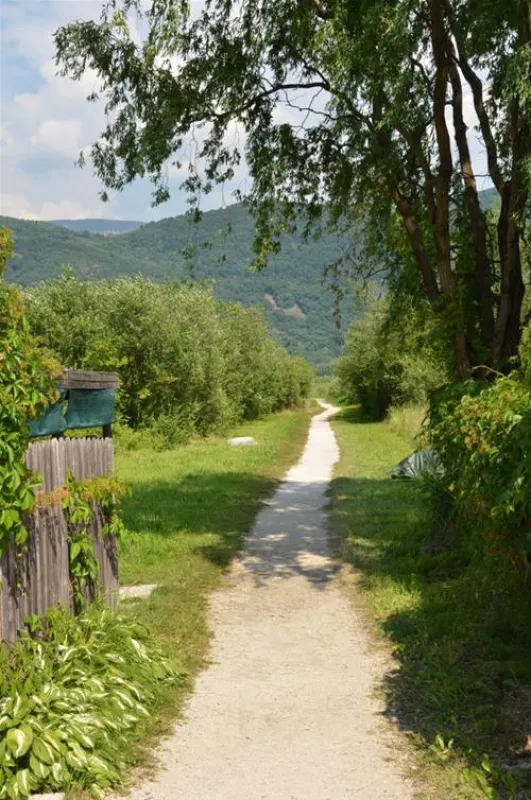 Camping St. Josef am Kalterer See