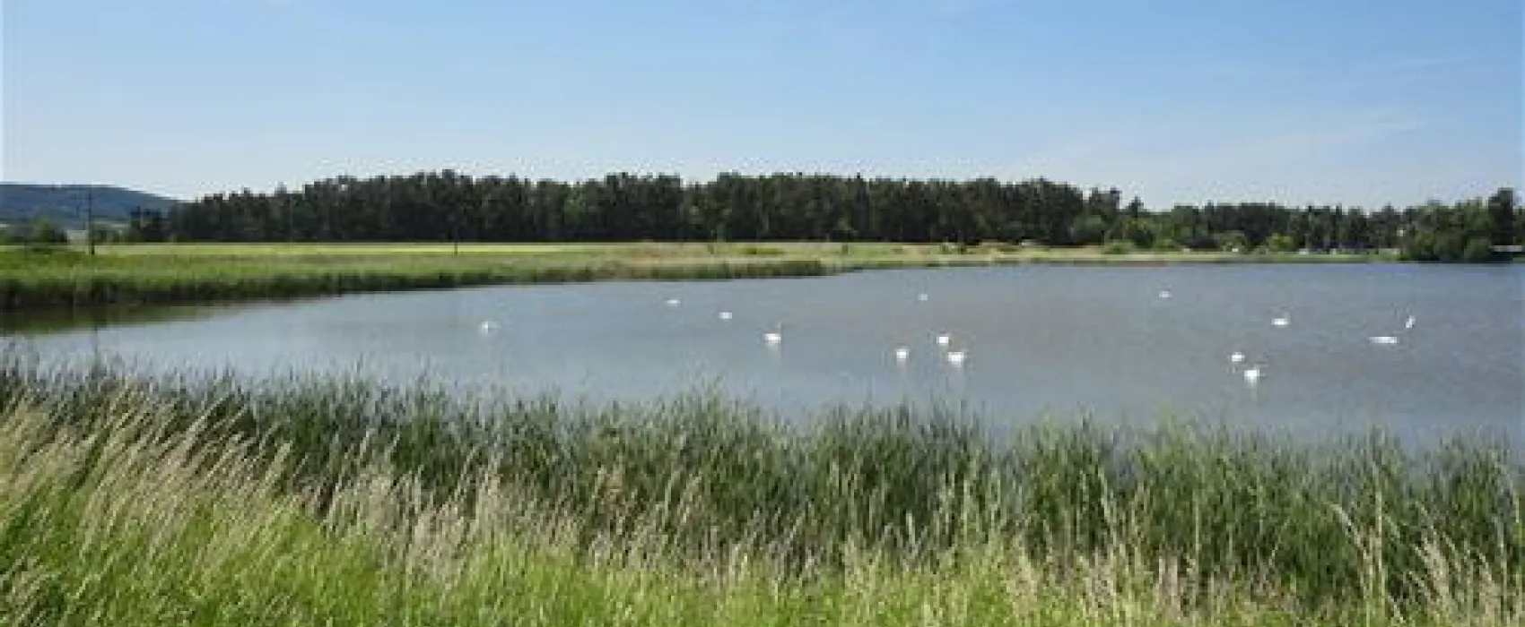 Campingplatz Kauerlach GmbH