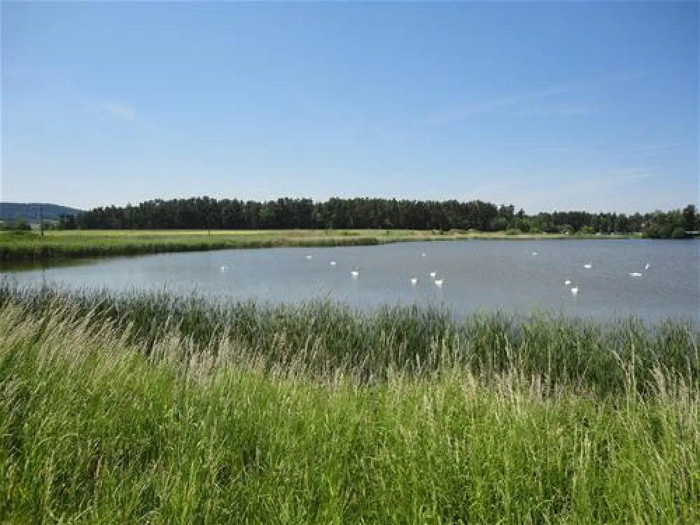 Campingplatz Kauerlach GmbH