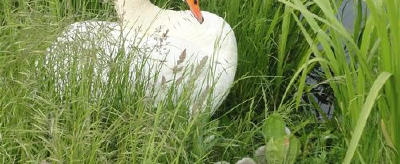 Campingplatz Kauerlach GmbH