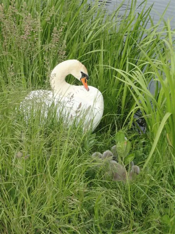 Campingplatz Kauerlach GmbH