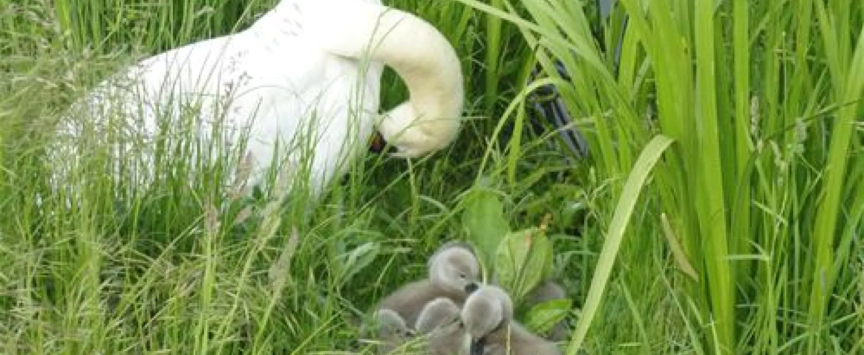 Campingplatz Kauerlach GmbH