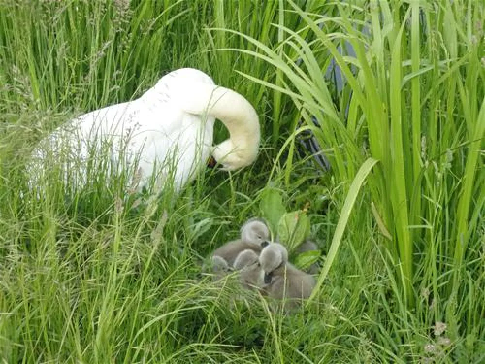 Campingplatz Kauerlach GmbH