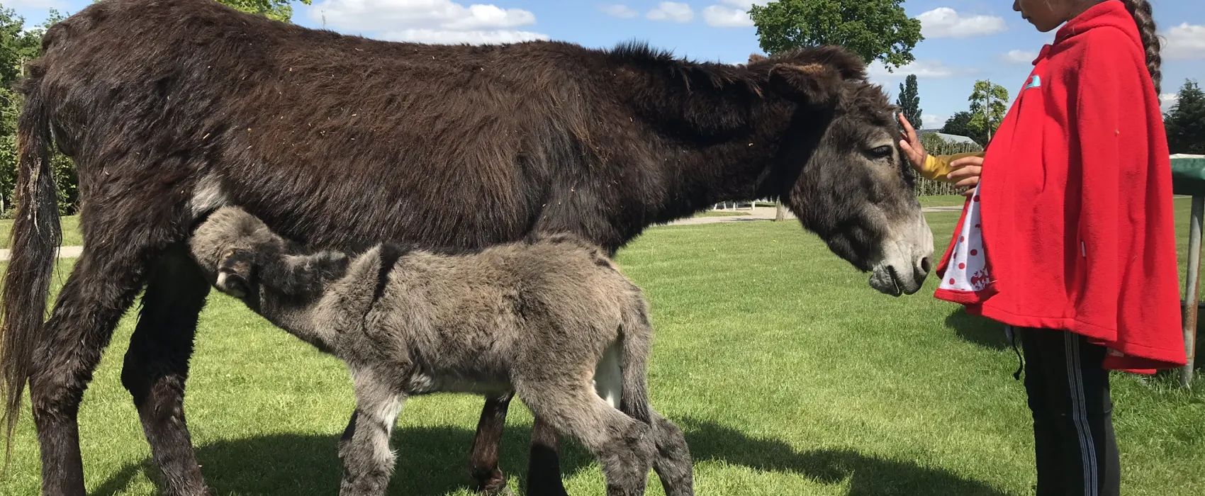 Boerderijcamping De  Kreitsberg
