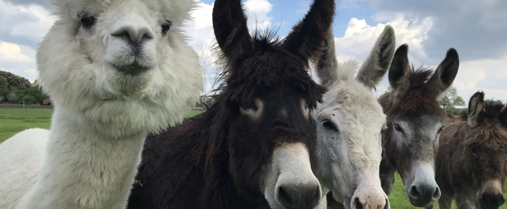 Boerderijcamping De  Kreitsberg